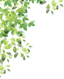 緑の葉イメージ
