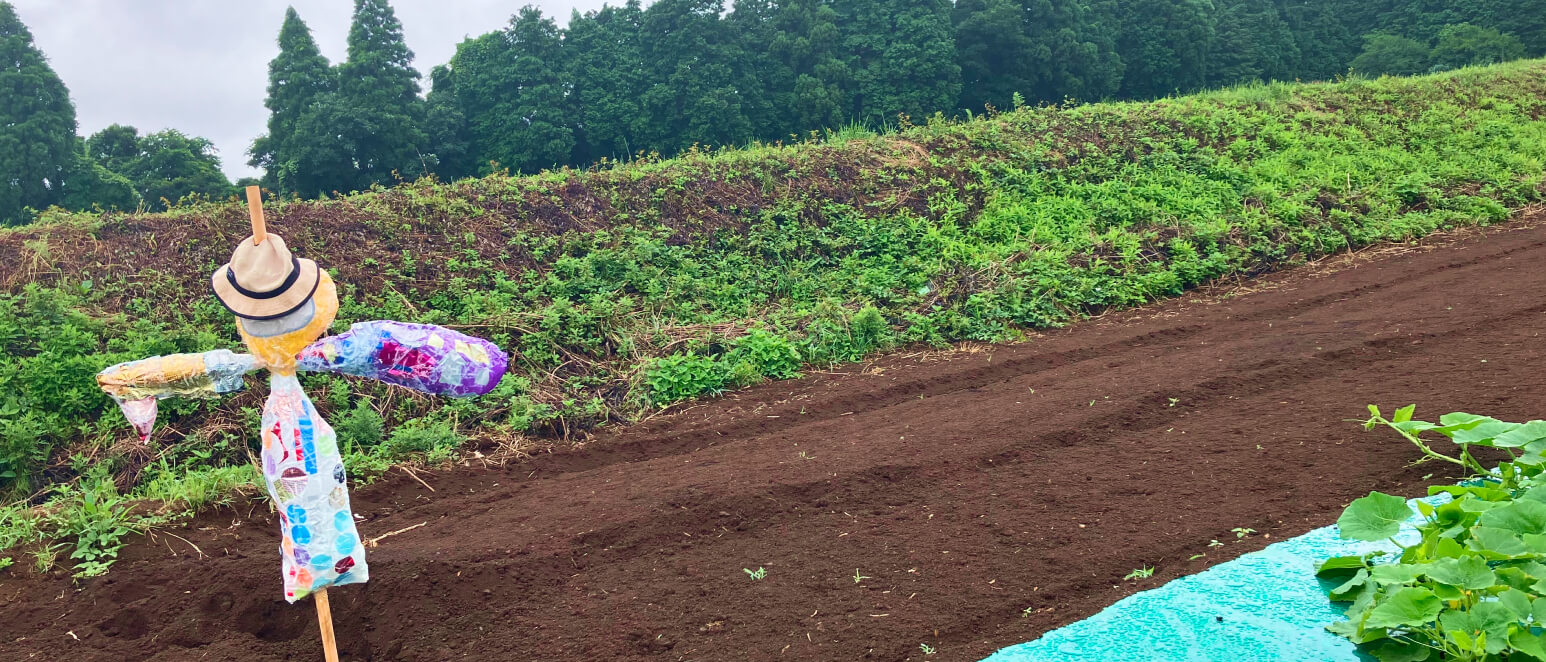 園庭が無いことはむしろメリット