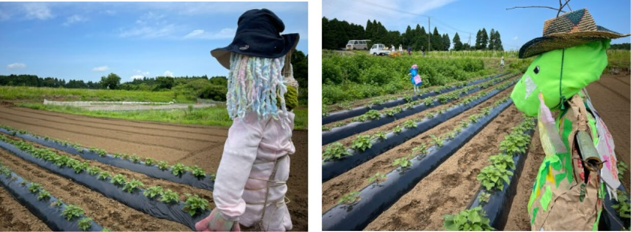 子どもたちと作ったかかし